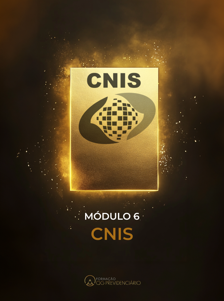 MÓDULO 06 – CNIS