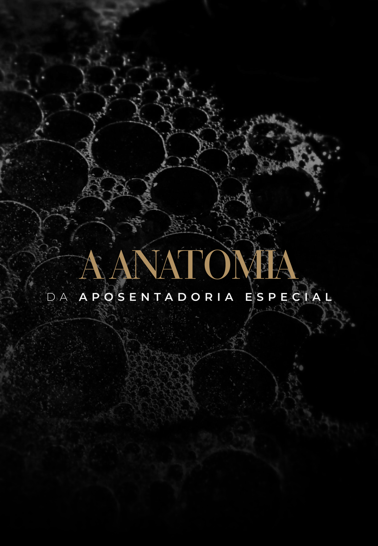 Módulo 1 - A anatomia da aposentadoria especial